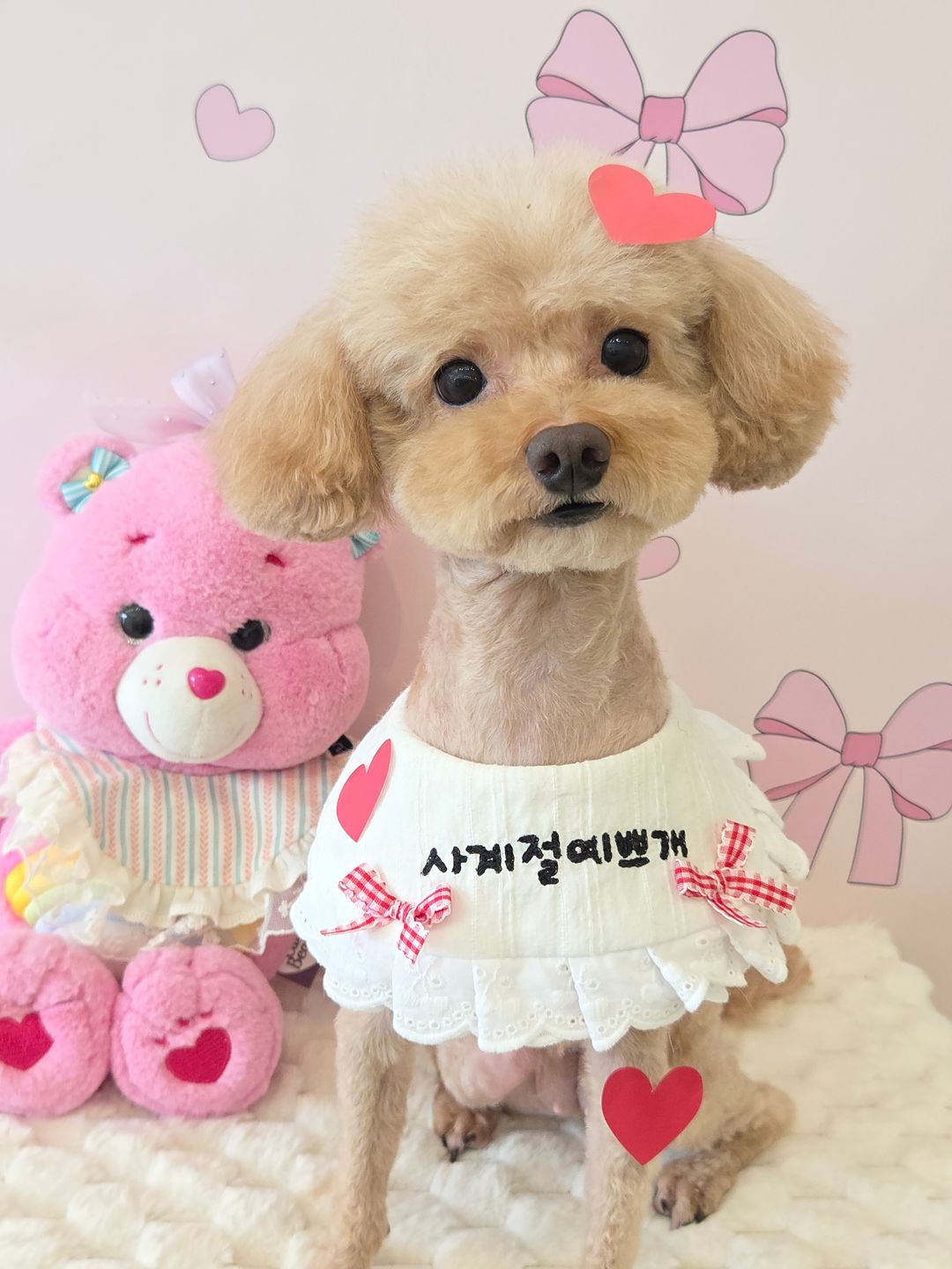 미용샵 이미지