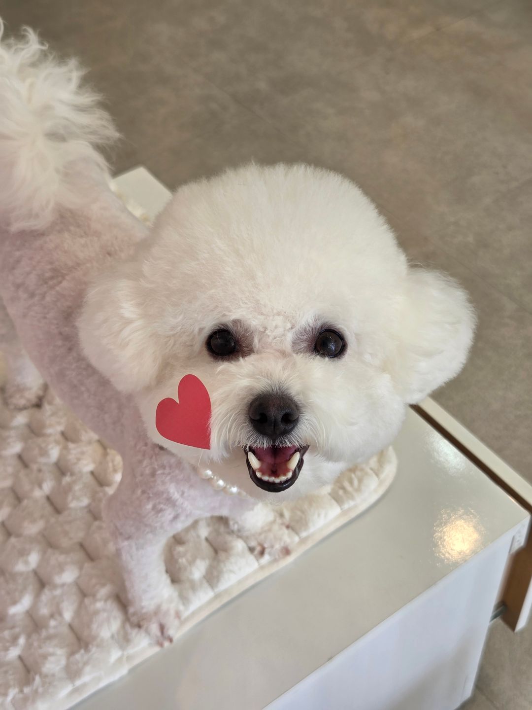 미용샵 이미지