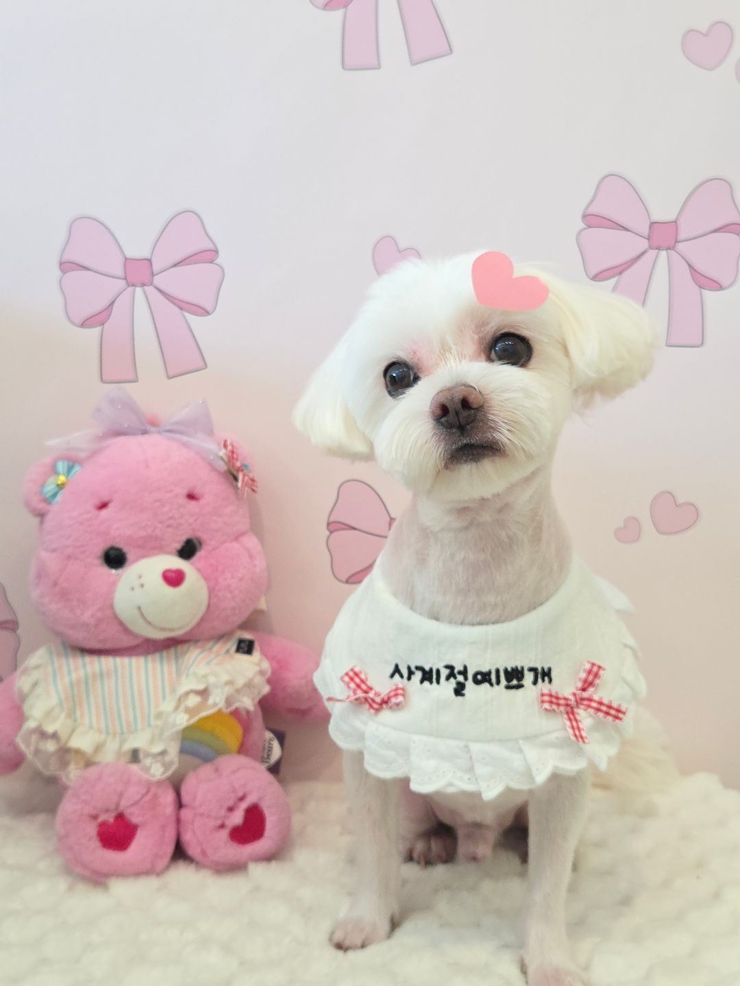미용샵 이미지