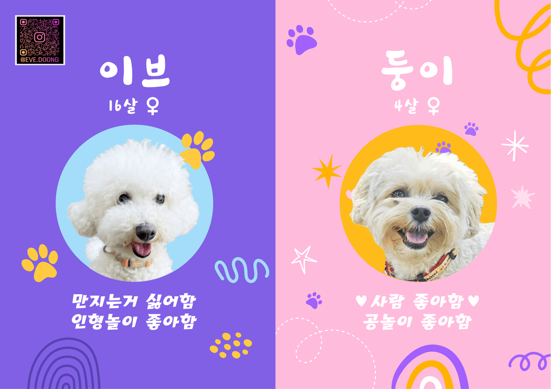미용샵 이미지