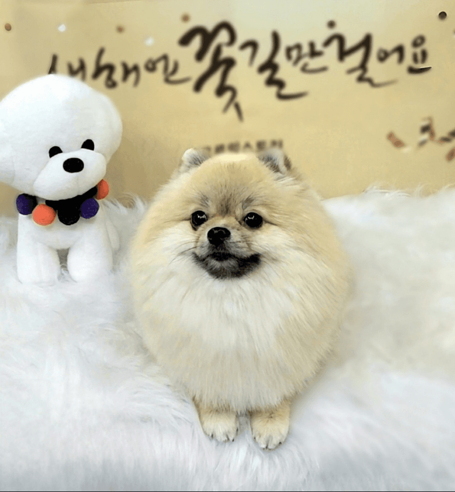 미용샵 이미지