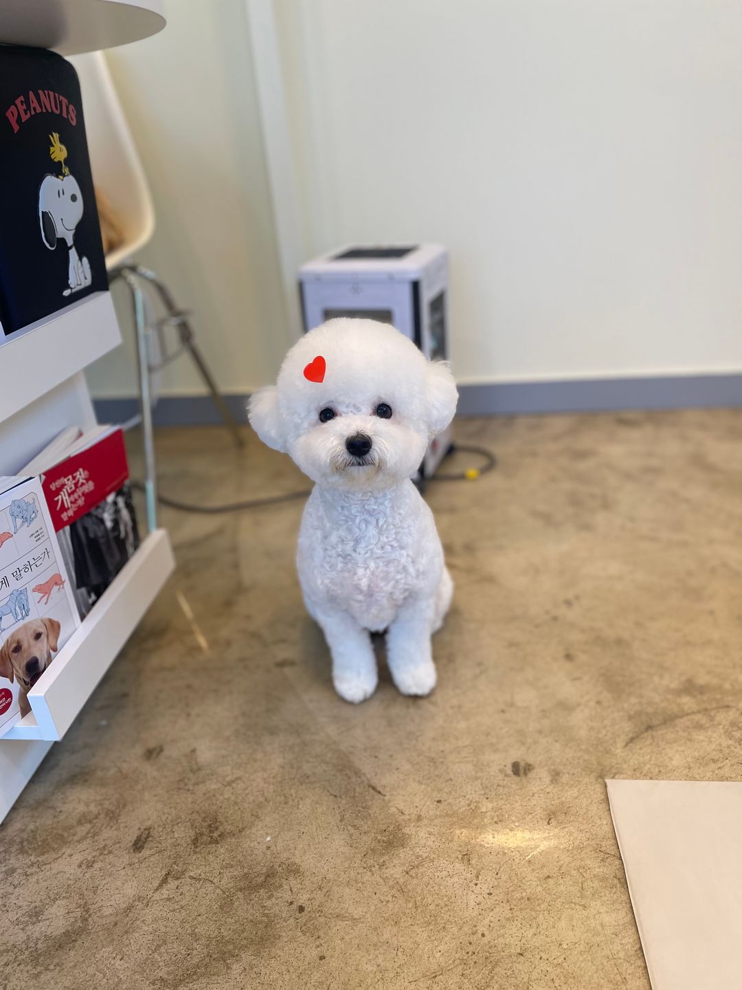 미용샵 이미지