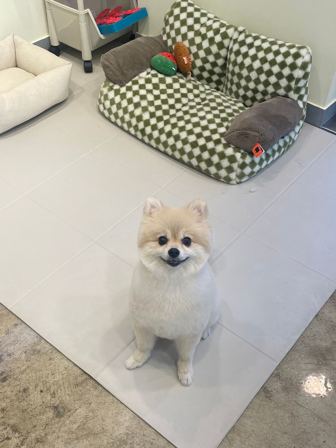 미용샵 이미지
