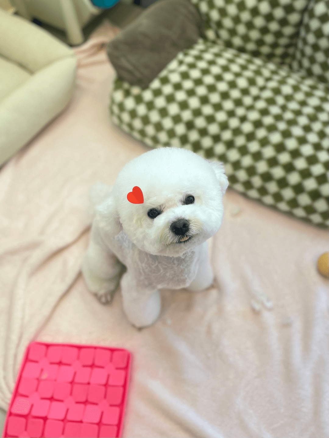 미용샵 이미지