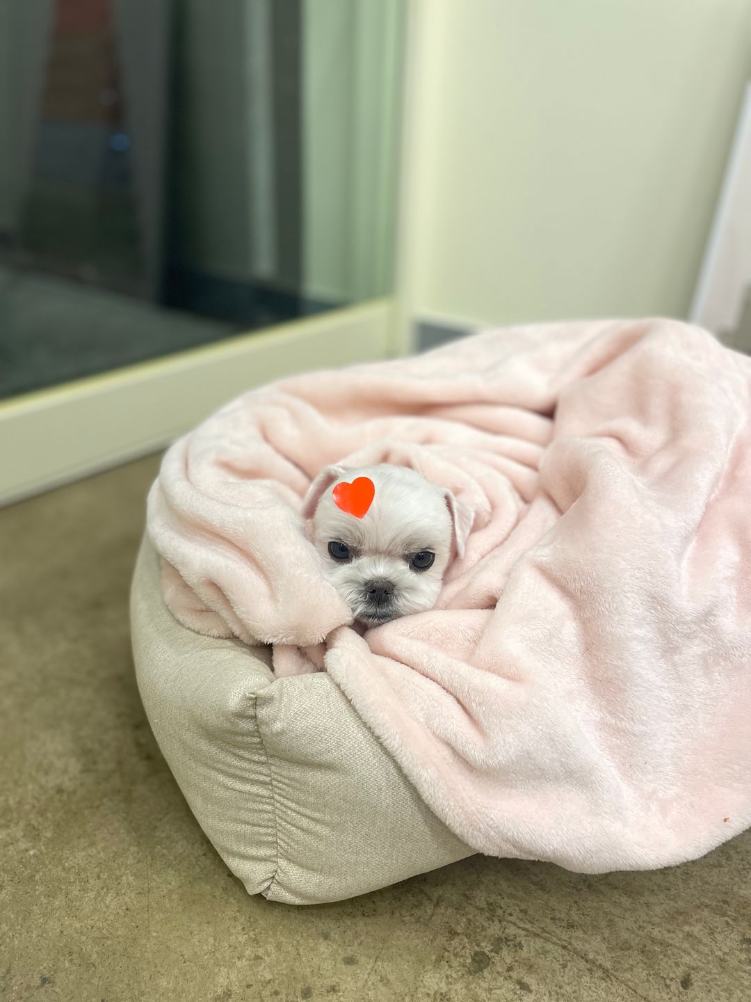 미용샵 이미지