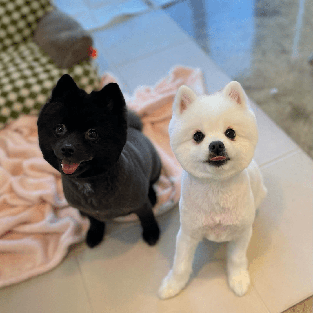 미용샵 이미지