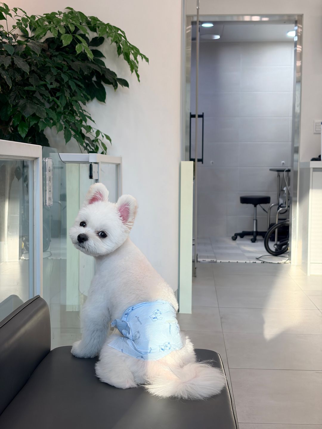 미용샵 이미지