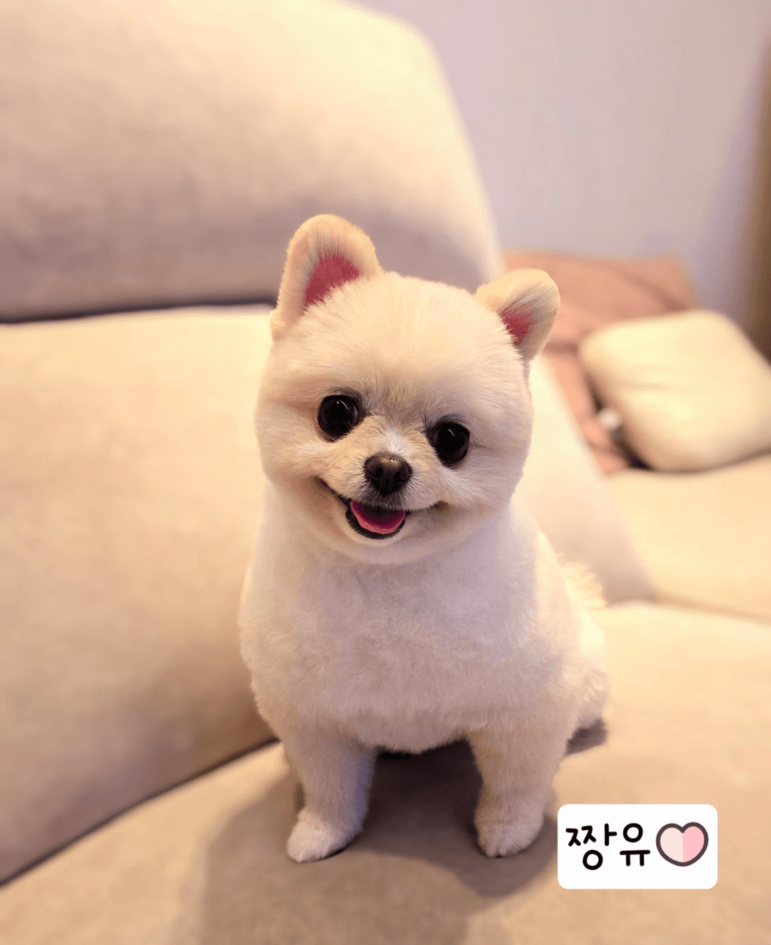 미용샵 이미지