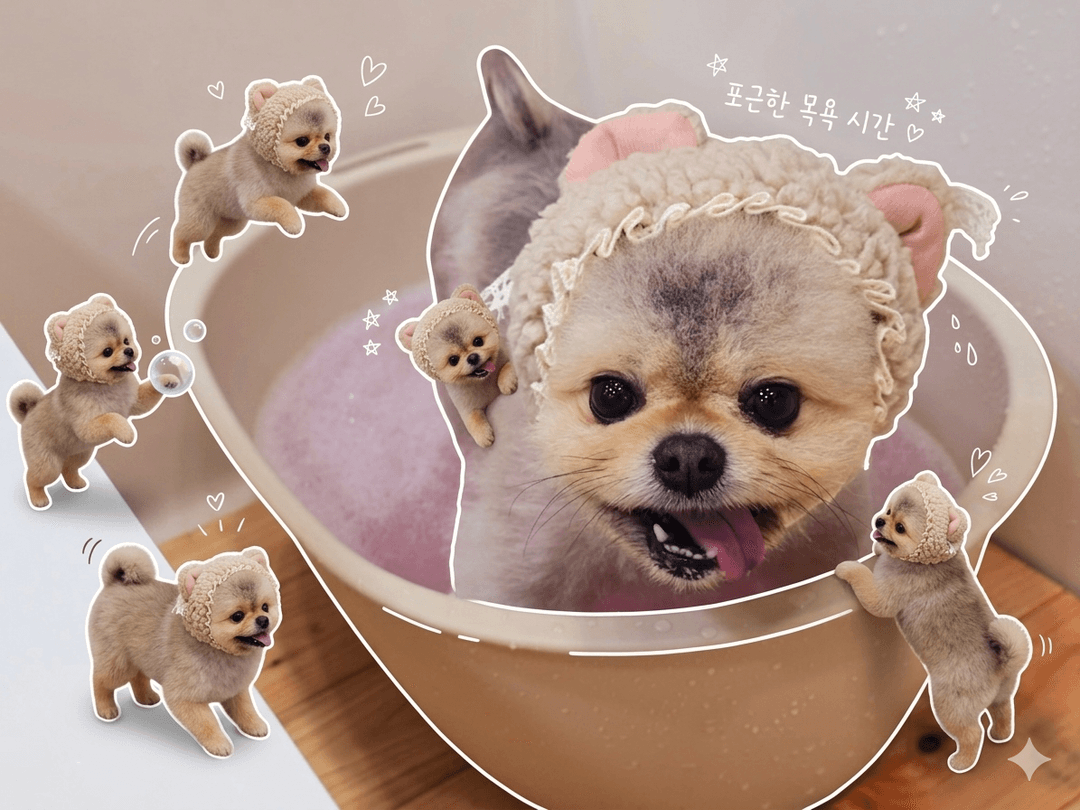 미용샵 이미지