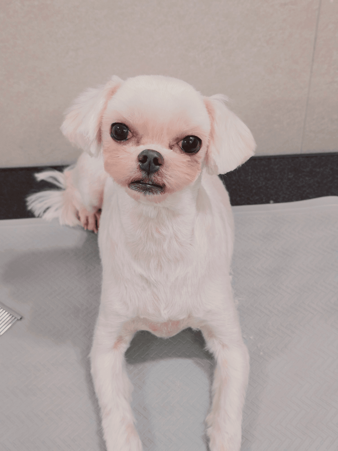 미용샵 이미지